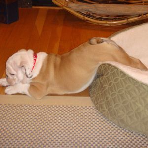 Meet your Posher, Rich